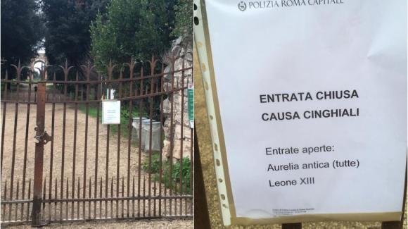 Roma: allarme cinghiali a Villa Pamphilj e chiusura del parco