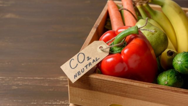 Scopri l’impatto ambientale del cibo che metti nel piatto: sorprese e consigli da uno studio tedesco
