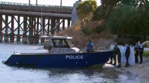 Australia: 16enne si tuffa in acqua per nuotare coi delfini, uno squalo la uccide