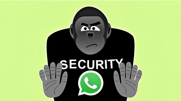WhatsApp: novità sicurezza, video messaggi e per i gruppi