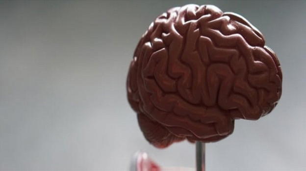 App che aiuta nella riabilitazione dopo un ictus è stato creato da ricercatori brasiliani