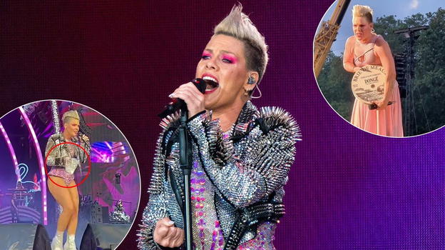 Concerto di Pink, fan lancia le ceneri della madre sul palco