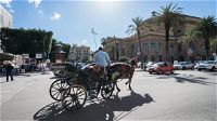 Palermo, le carrozze trainate da cavalli continuano a circolare anche con temperature torride