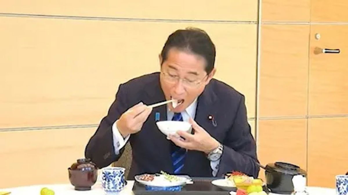 Felpa Con Cappuccio Giapponese Per Bambina | Stampa Gatto Kawaii E Alfabeto | Maniche Lunghe, Misto Cotone - Foto 6