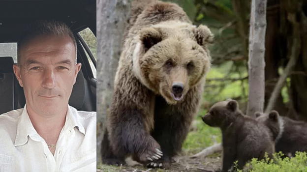 Orsa Amarena, parla l’uomo che ha fatto fuoco: "Ho sbagliato, non dormo da 3 giorni e ricevo minacce"