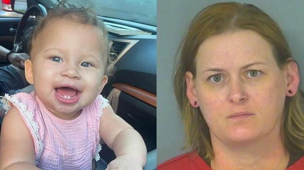 USA: bimba di 11 mesi ed il cane in auto al sole per 6 ore, babysitter arrestata per il loro decesso