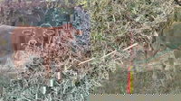 1695049177_650865d90d7cc