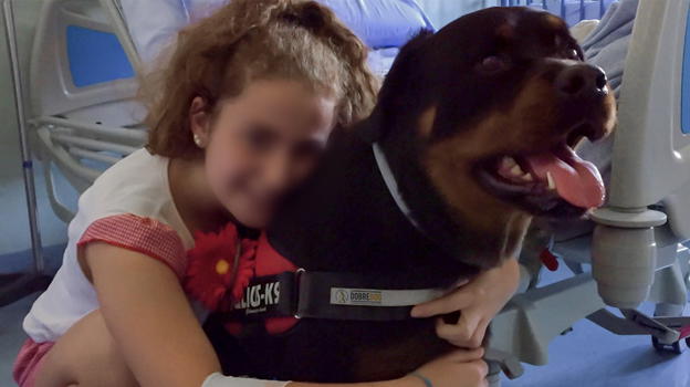 Dea, il primo Rottweiler in Italia che "cura" i bambini ricoverati