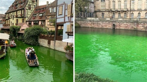 Ambientalisti versano colorante verde fluorescente nel fiume come protesta: scomparsi numerosi pesci