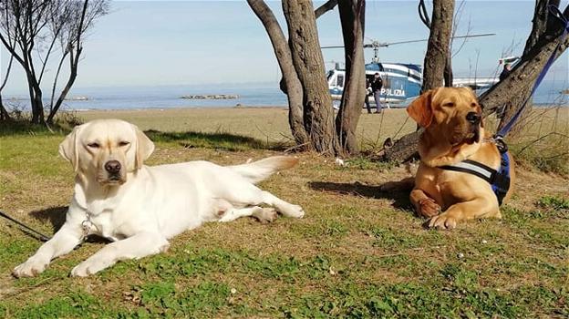 I cani poliziotto Master e Baldo vanno in pensione: il saluto della Questura di Pescara