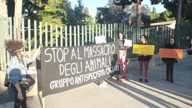 Cagliari, fervente protesta in seguito alla scoperta degli animali freddati a Monte Urpinu