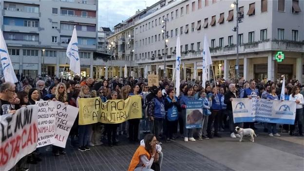 Pescara, mobilitazione in piazza per salvare il canile: "L’abbiamo saputo dalla stampa"