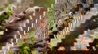 1700127931_6555e4ba945a1