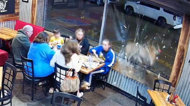 USA: cervo irrompe in una tavola calda frantumando la vetrata, ferita una 13enne