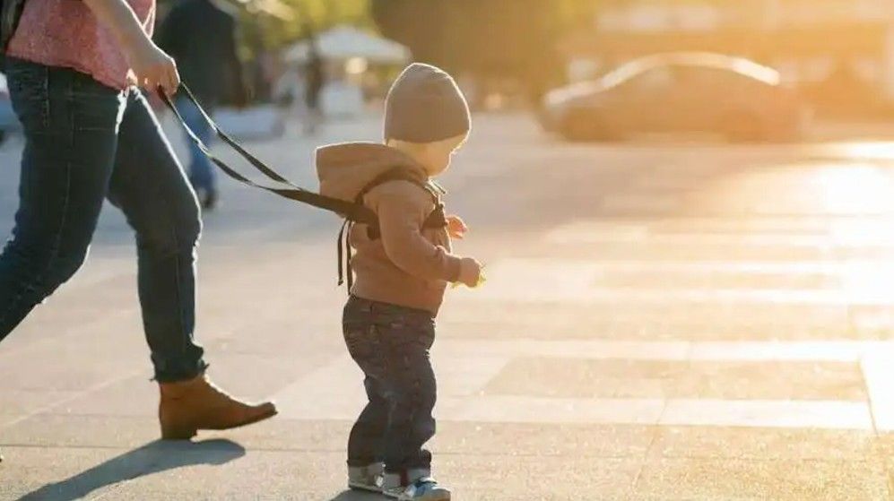 Porta a passeggio il figlio con il guinzaglio: disapprovazione e critiche