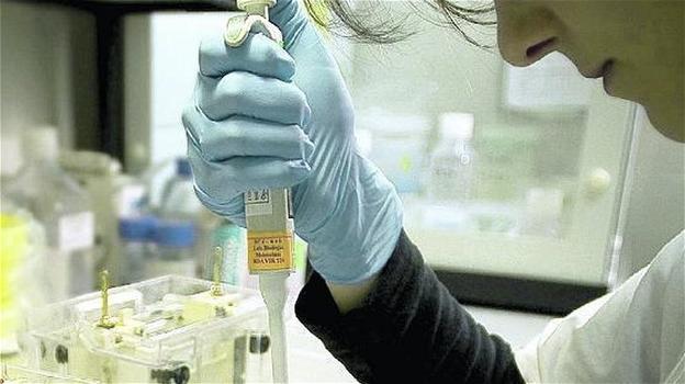 Studentessa di Padova contrae l’Aids nel laboratorio di Ginevra: risarcita con 145.000€