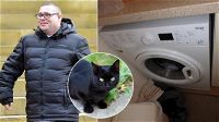 Fece fuori un gatto mettendolo in lavatrice, non potrà mai più avere animali