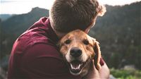 Il legame tra cani e umani è simile a quello tra figli e genitori: lo studio