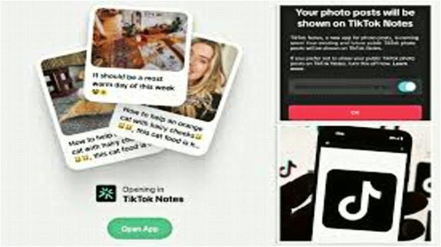 Iniziano i test per l’app anti Instagram TikTok Notes