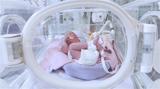 Arezzo, appello dell’ospedale: "Serve latte umano donato per i neonati prematuri ricoverati"