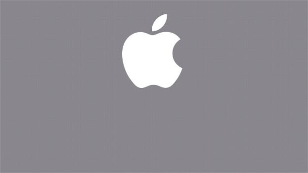 Apple: trimestrale in chiaroscuro, novità su iOS 18 e ipadOS