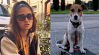 Cane lasciato libero sbrana il cucciolo della veterinaria: "Serve una patente"