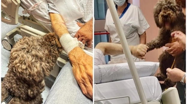 Chiede di poter vedere per l’ultima volta la sua amata cagnolina: i medici accettano