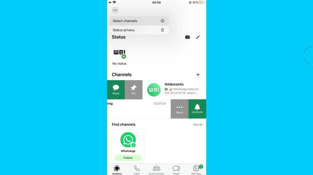 WhatsApp Beta per iOS 24.14.10.78: gestione canali e ancoraggio