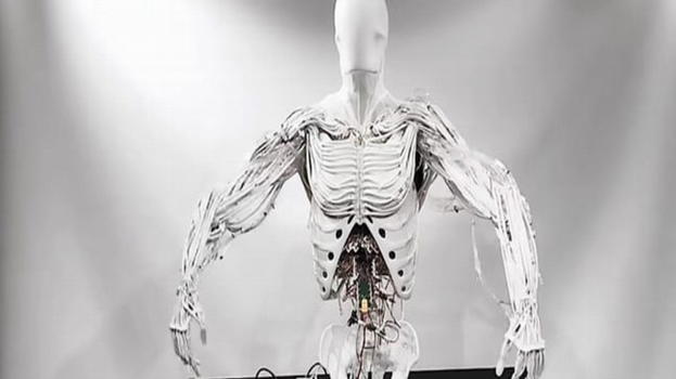 Muscoli artificiali e robot umanoidi: l’innovazione che trasforma la robotica