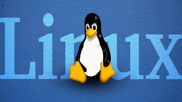 Linux si aggiorna: supporto per schede SDUC fino a 128 TB e UHS-II nel kernel 6.11