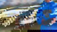 1733425413_6751f90482e6b