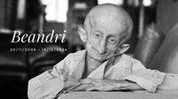 Addio a Beandri Booysen, la TikToker 19enne aveva la progeria come Sammy Basso