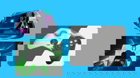 1736441970_67800071a3ef8