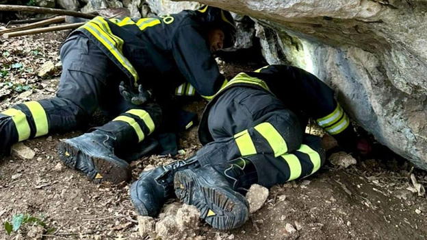 Cane intrappolato sotto una roccia: salvato dai Vigili del Fuoco