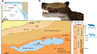 Scoperto antico cranio di predatore preistorico