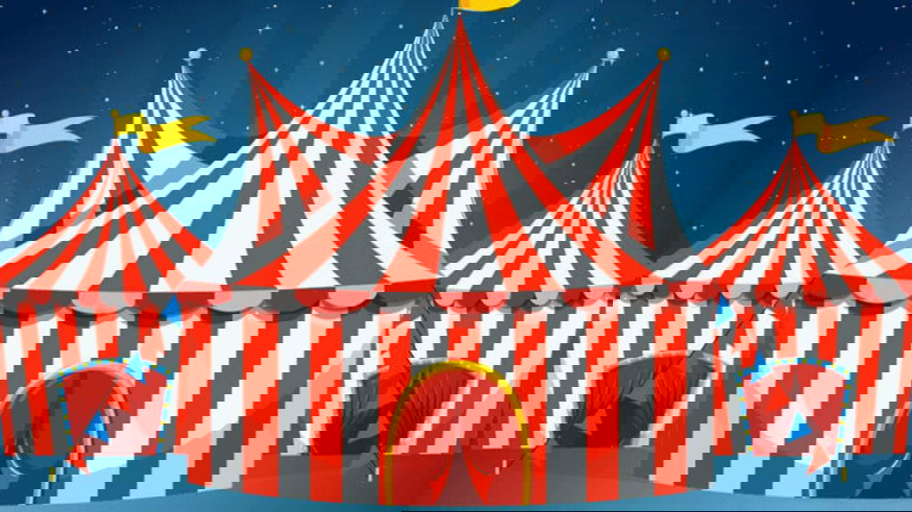 No agli animali al circo: la proposta di legge del Movimento 5 Stelle