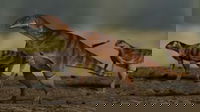 Trovate impronte di dinosauro in una scuola in Australia