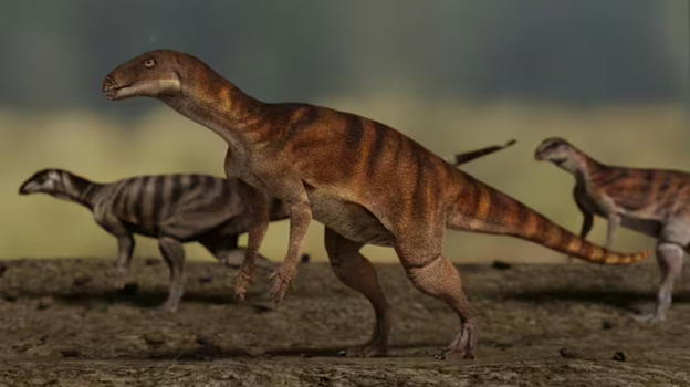 Trovate impronte di dinosauro in una scuola in Australia