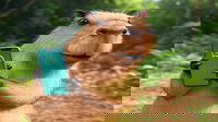 1742840657_67e1a3506f6d8