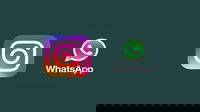 1743443519_67ead63ee8253
