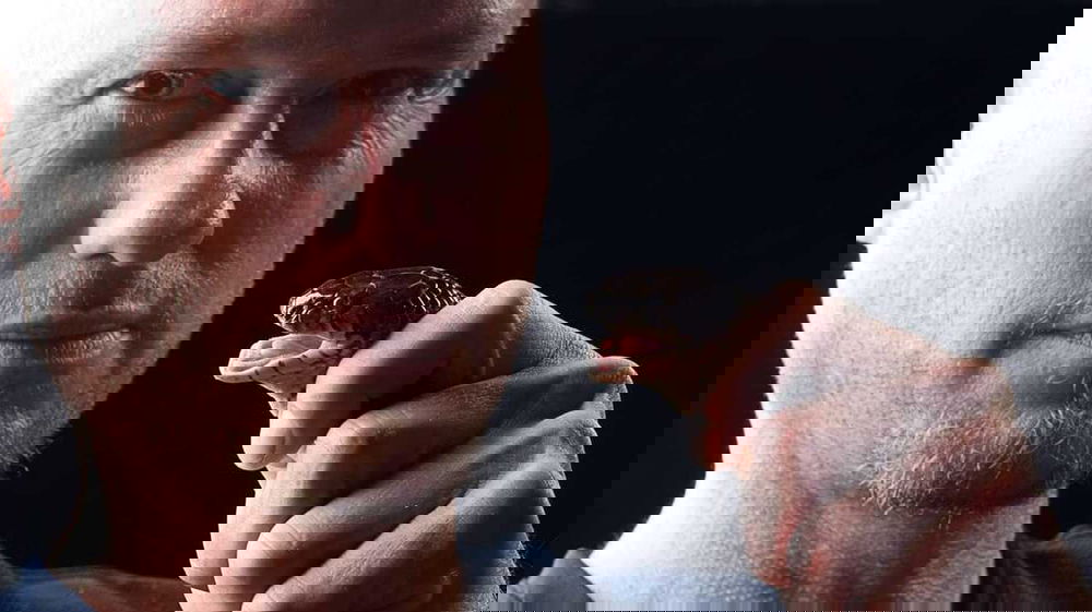 Si fa mordere 200 volte dai serpenti per trovare un antiveleno universale