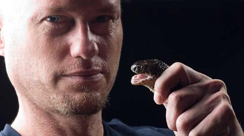 Si fa mordere 200 volte dai serpenti per trovare un antiveleno universale