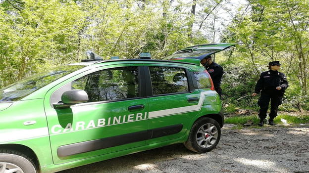 Biella: brucia i mobili di casa per far cuocere i polli, denuncia