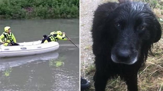 Udine: si tuffa in acqua per salvare il suo cane,  annegato
