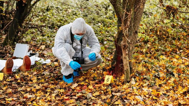 Mestre, passeggiata col cane diventa un incubo: scoperto un cadavere nel boschetto del rio Cimetto