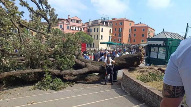 Venezia, albero crolla sulla folla a Piazzale Roma, gravi due donne