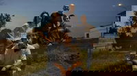 1749737869_684ae18d6809b