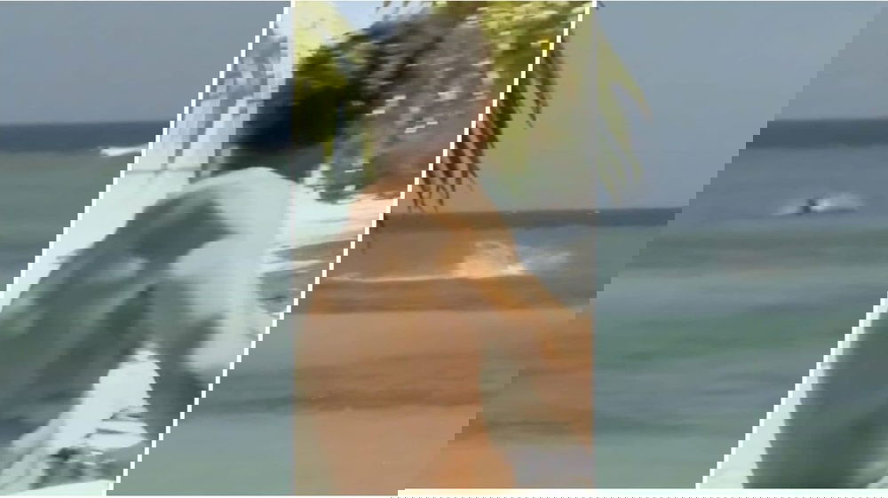 Squalo all’Isola dei Famosi 2025: spettacolare incontro ravvicinato sull’Ultima Spiaggia