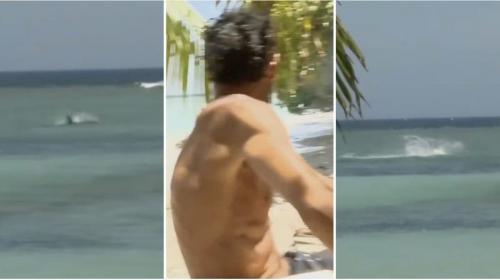 Squalo all’Isola dei Famosi 2025: spettacolare incontro ravvicinato sull’Ultima Spiaggia