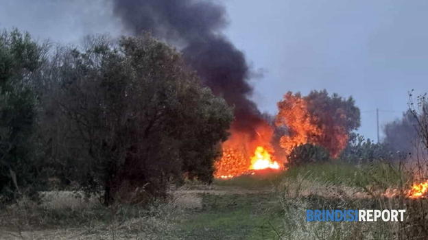 Incendi di sterpaglie a San Pietro Vernotico: un pericolo che va oltre i danni materiali